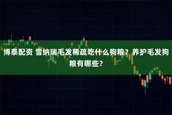 博泰配资 雪纳瑞毛发稀疏吃什么狗粮？养护毛发狗粮有哪些？
