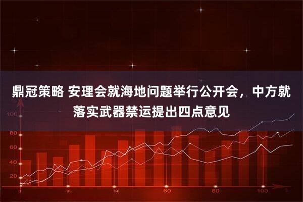 鼎冠策略 安理会就海地问题举行公开会,中方就落实武器禁运提出四点意见