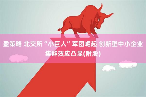 盈策略 北交所“小巨人”军团崛起 创新型中小企业集群效应凸显(附股)
