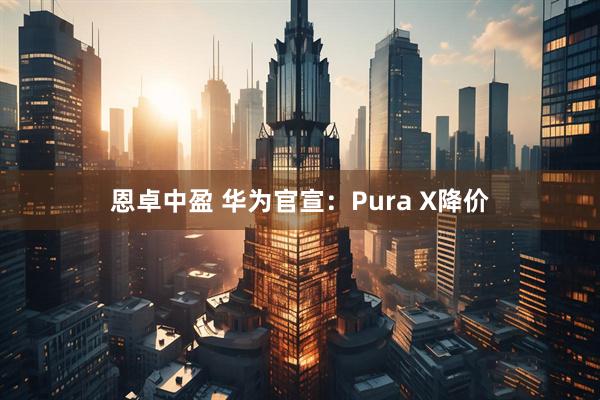 恩卓中盈 华为官宣：Pura X降价