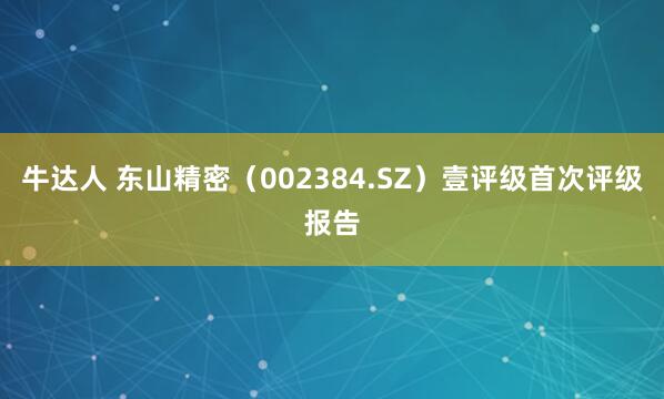 牛达人 东山精密（002384.SZ）壹评级首次评级报告