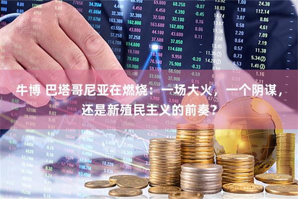 牛博 巴塔哥尼亚在燃烧：一场大火，一个阴谋，还是新殖民主义的前奏？