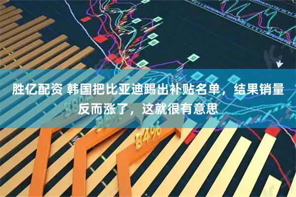 胜亿配资 韩国把比亚迪踢出补贴名单，结果销量反而涨了，这就很有意思
